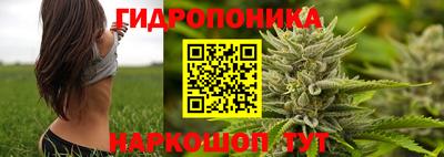 ешки Тулун