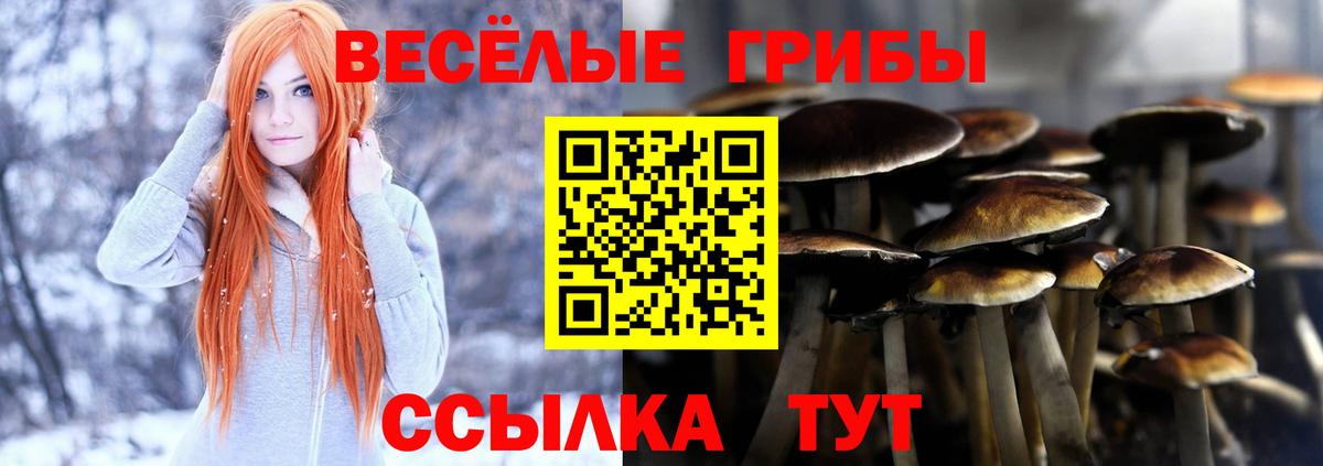 Галлюциногенные грибы Magic Shrooms  Вход с VPN  Алексин 